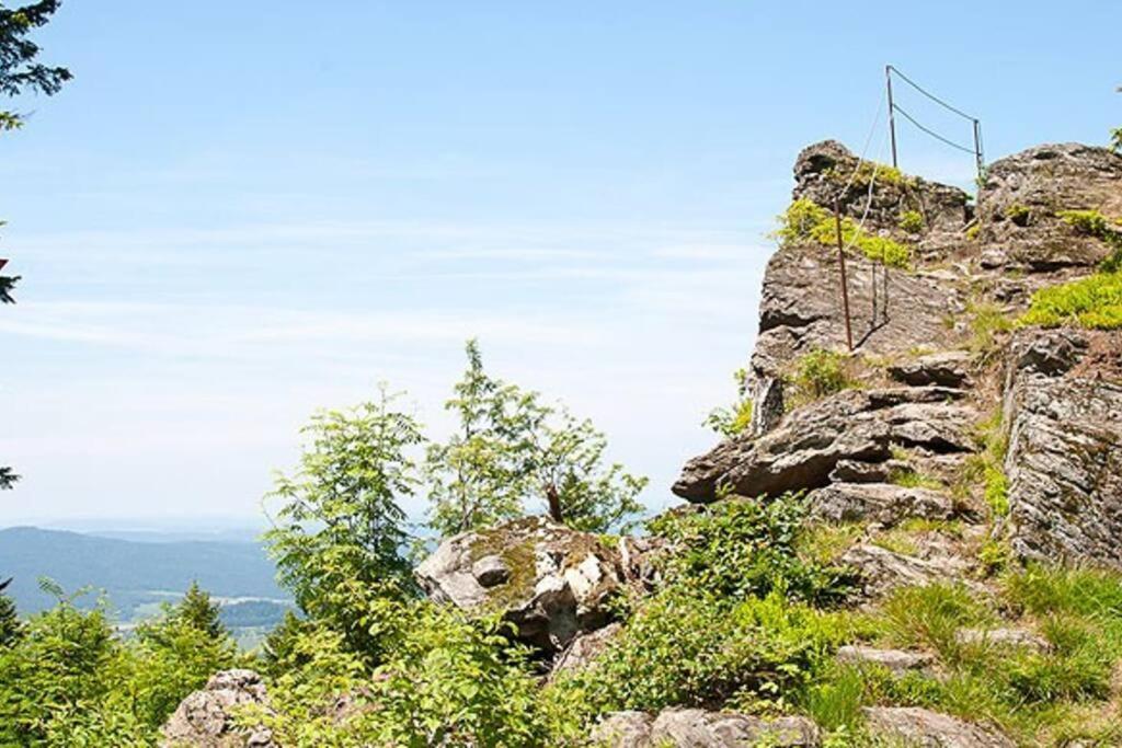 Bayerwald Chalet Kaitersberg Mit Sauna, Sonnenterrasse Und Garten Arnbruck Luaran gambar